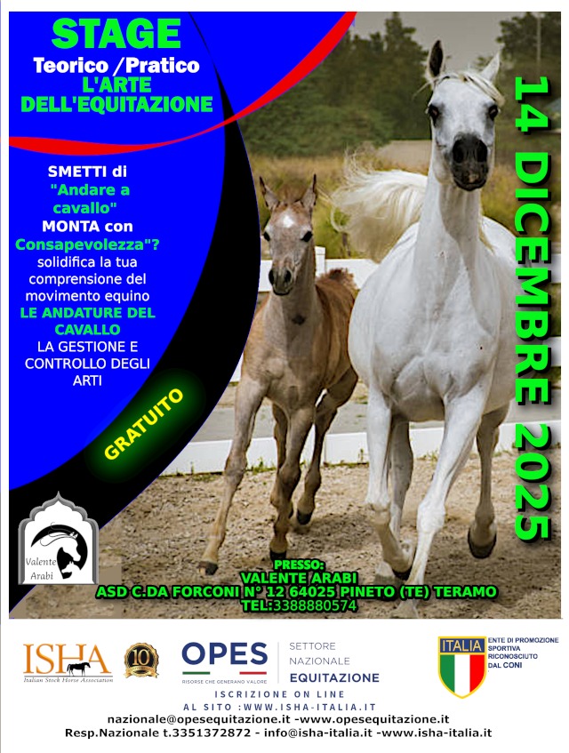 L’Arte dell’Equitazione: lo stage gratuito che ti insegna a montare con vera consapevolezza